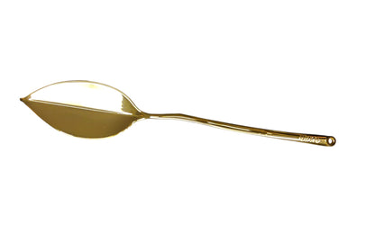 Intimate Body Wax Remover, Metal Wax Scraper
